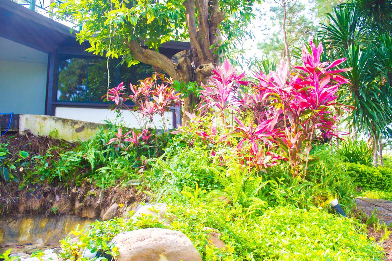 Bird Land Resort Khao Kho Buitenkant foto