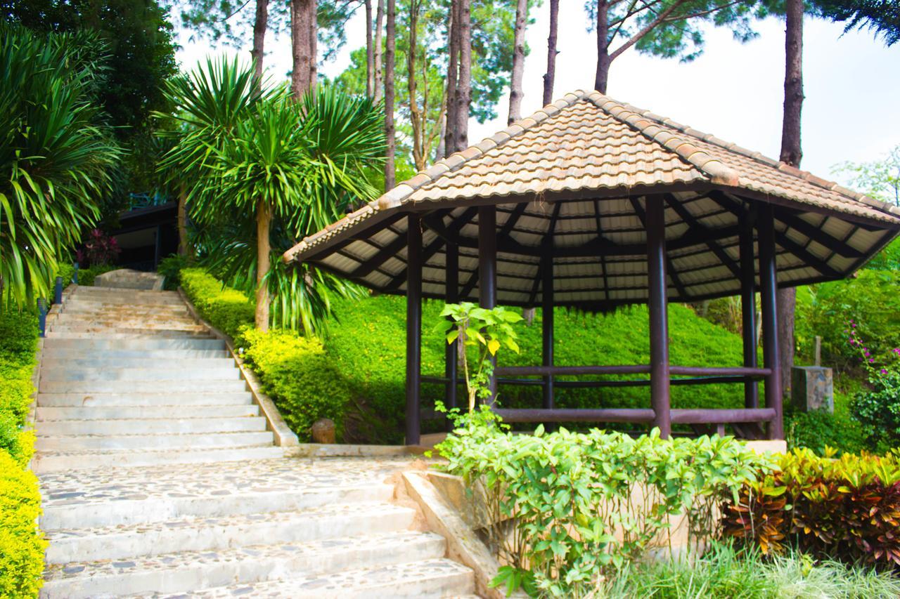Bird Land Resort Khao Kho Buitenkant foto