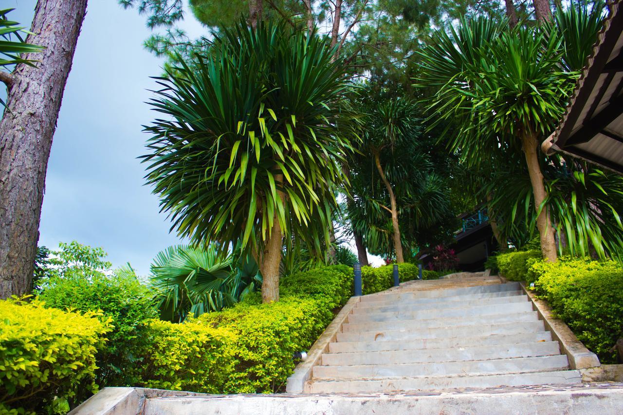 Bird Land Resort Khao Kho Buitenkant foto