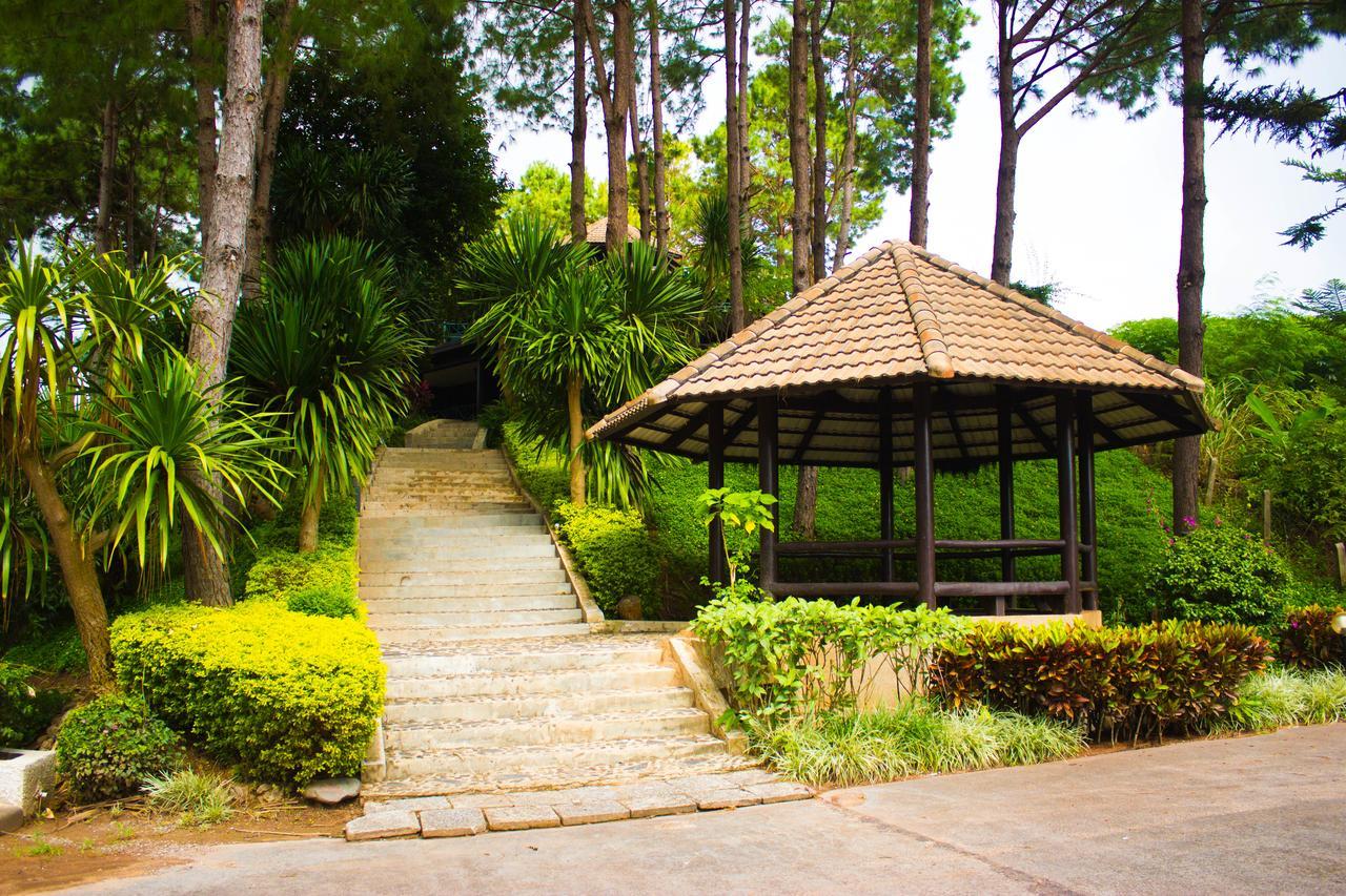 Bird Land Resort Khao Kho Buitenkant foto